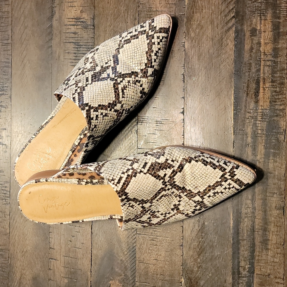 Snake skin shoe